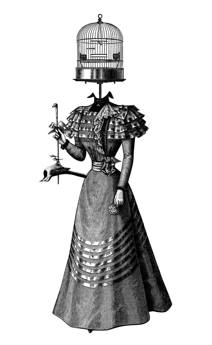Bird Lady — illustration by olex oleole