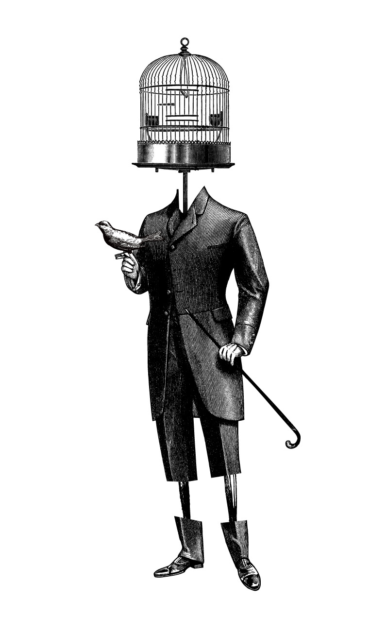 Bird Man — illustration by olex oleole