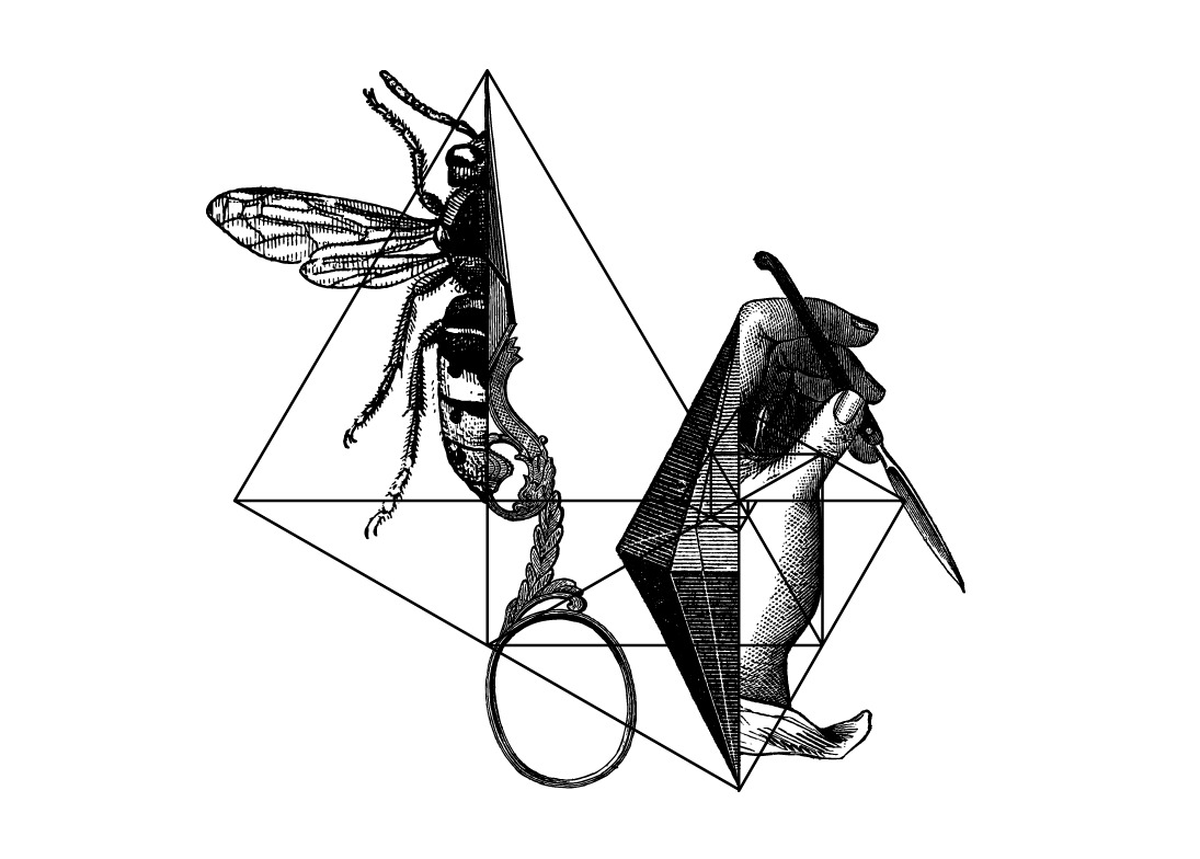 Diamond Surgery — illustration by olex oleole