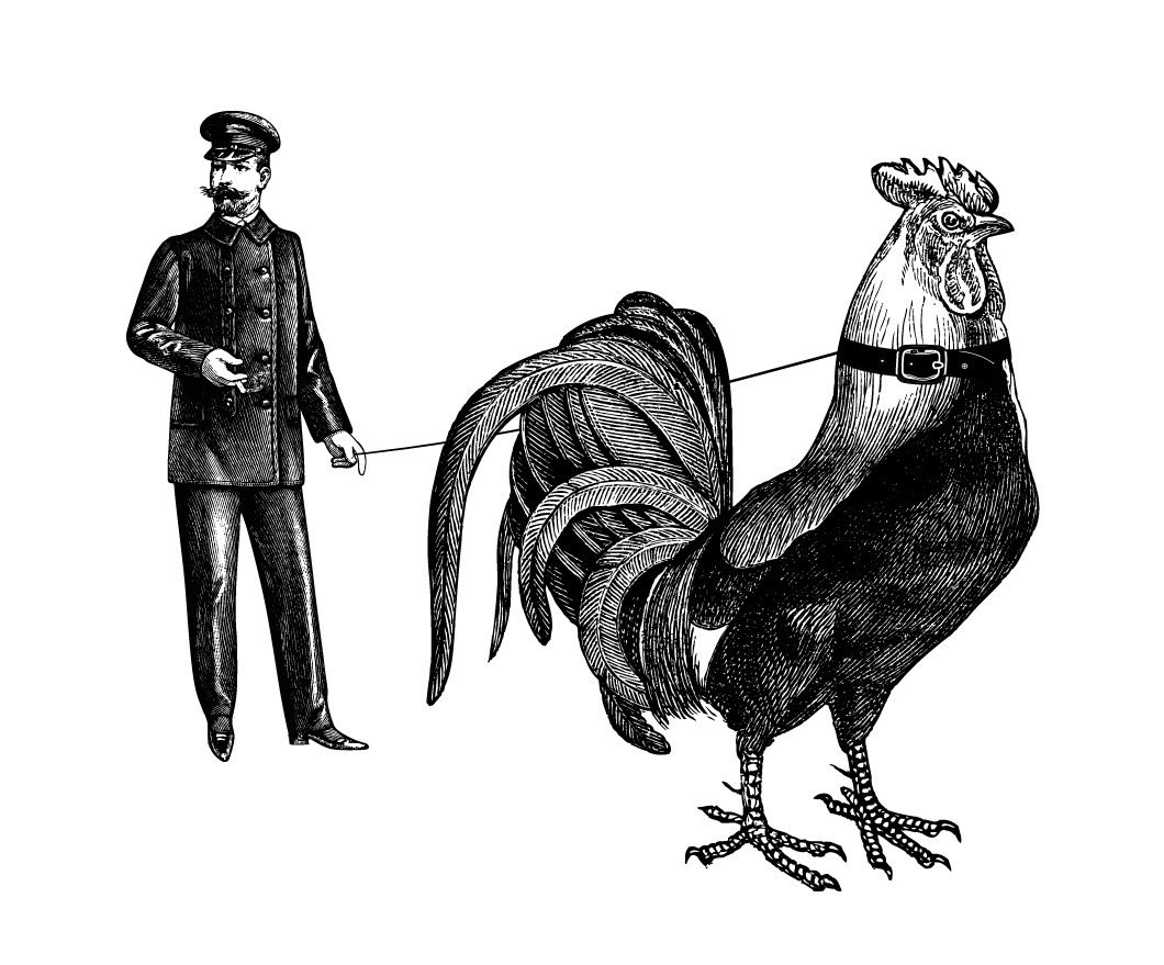 Gentleman — illustration by olex oleole