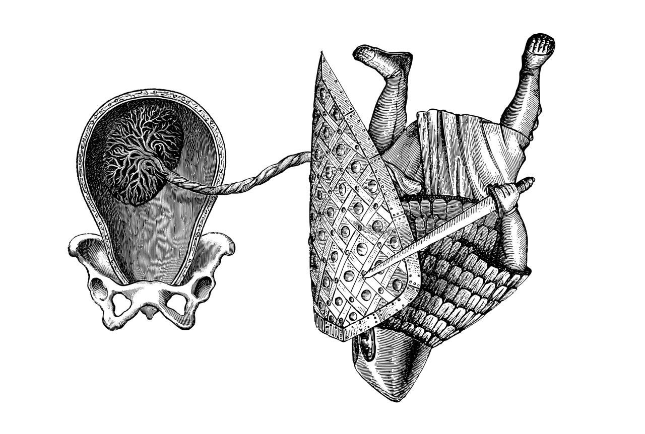 Newborn — illustration by olex oleole