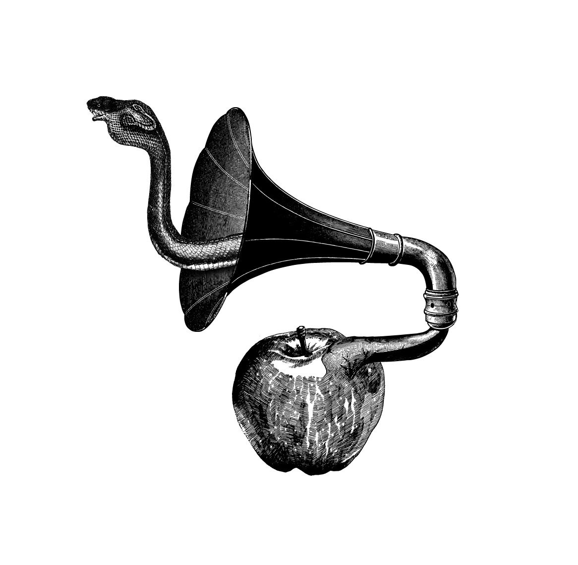 Snake Apple — illustration by olex oleole