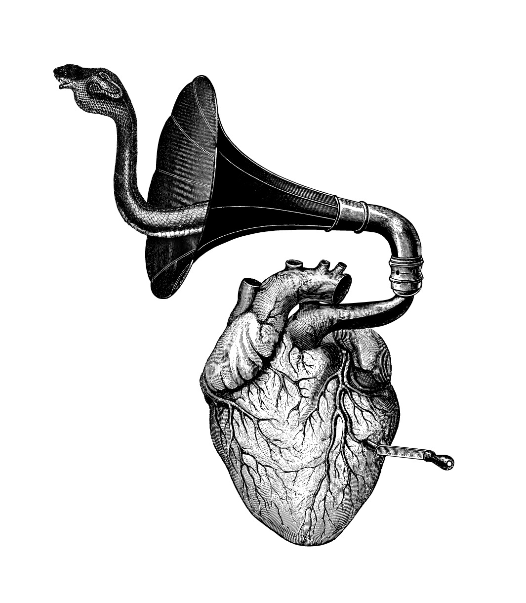 Snakephone — illustration by olex oleole